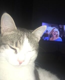 Макс Комаров