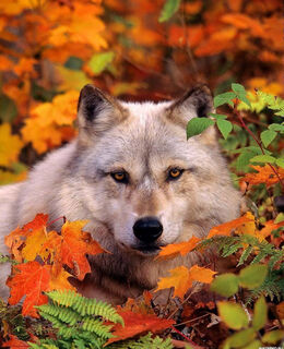 Виталий — фото 1