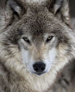 Константин — фото 1